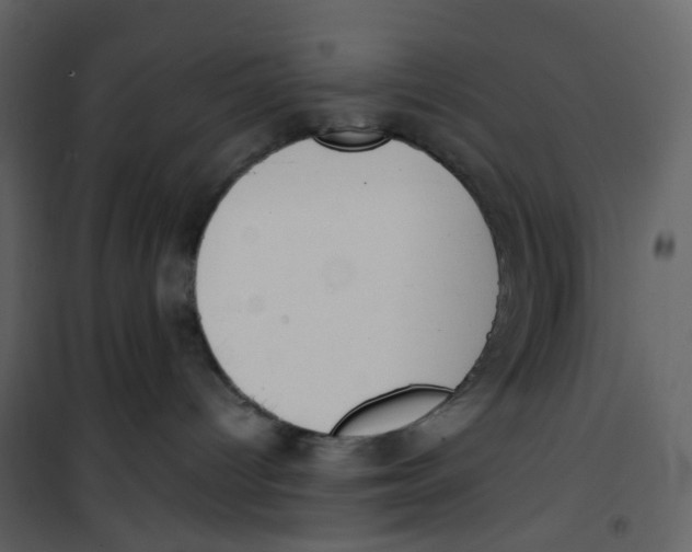X0000100750096200807171422