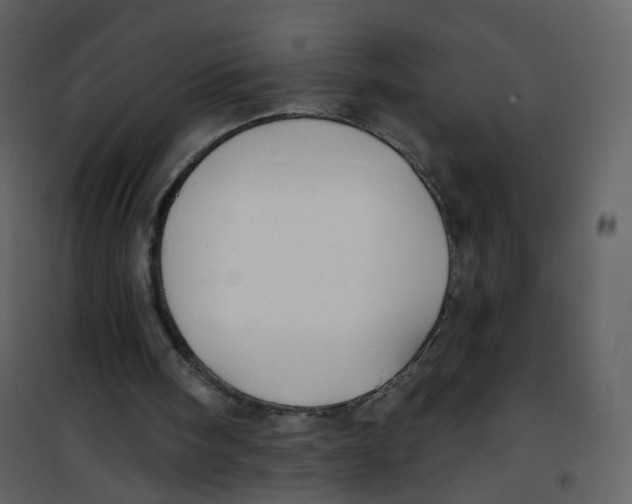 X0000100750098200807171421