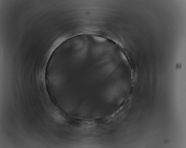 X0000100750099200807171421