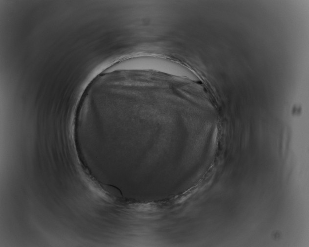X0000100750100200807171421