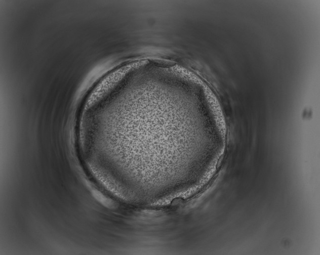 X0000100750101200807171421