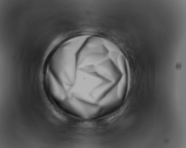 X0000100750102200807171421