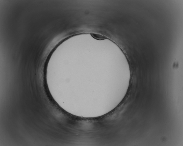 X0000100750103200807171421