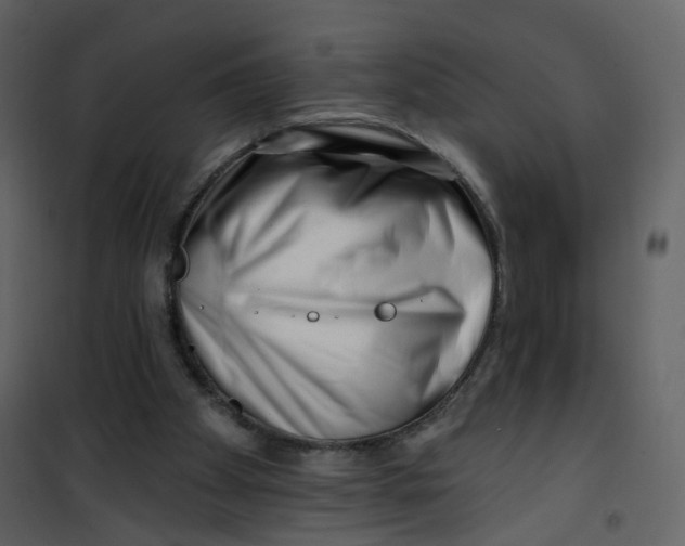 X0000100750105200807171421