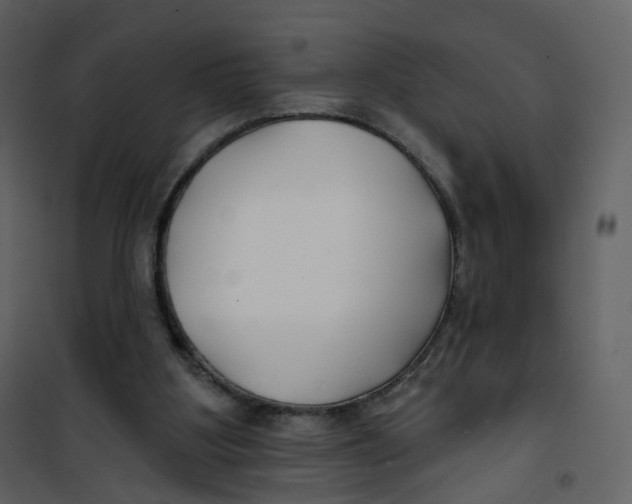 X0000100750107200807171421