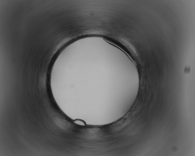 X0000100750108200807171421