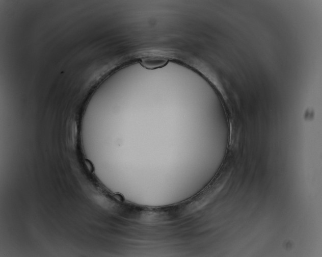 X0000100750109200807171421