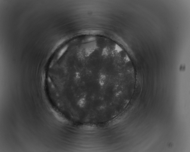 X0000100750110200807171421
