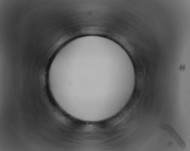 X0000100750111200807171421