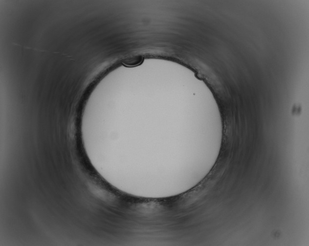 X0000100750112200807171421