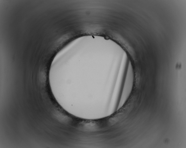 X0000100750113200807171421