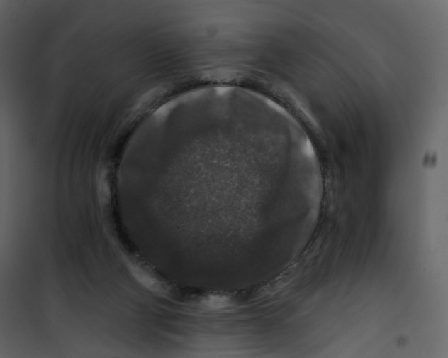 X0000100750114200807171421