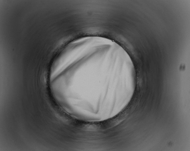 X0000100750115200807171421