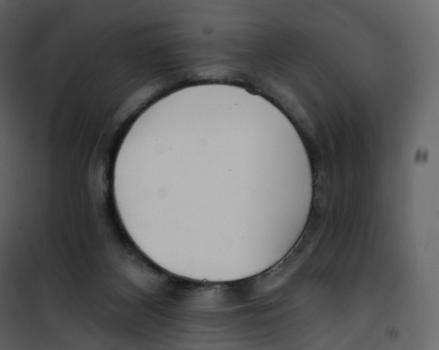 X0000100750116200807171421