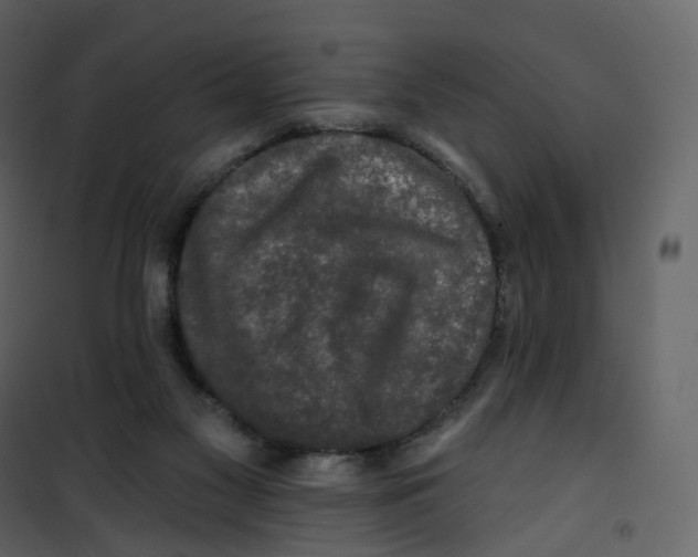 X0000100750117200807171421