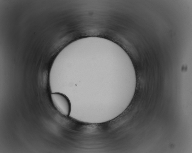 X0000100750118200807171421