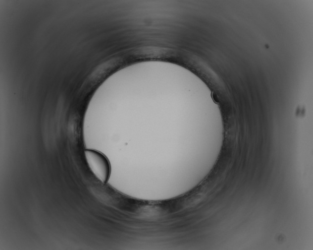 X0000100750119200807171421