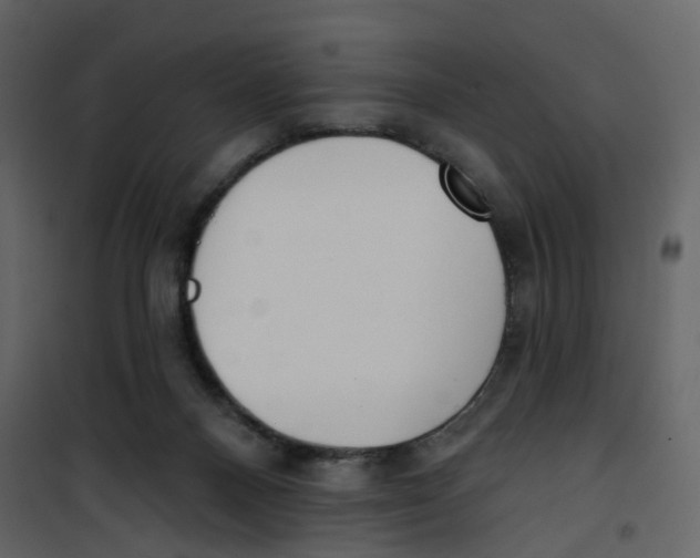 X0000100750120200807171421