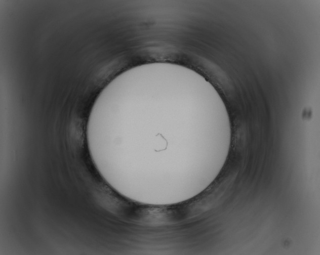 X0000100750121200807171421