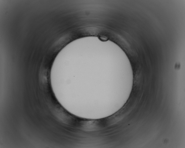 X0000100750122200807171421