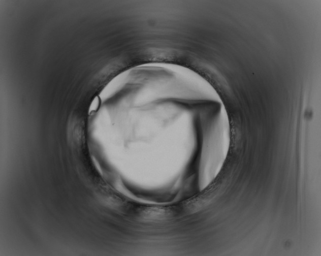 X0000100750123200807171421