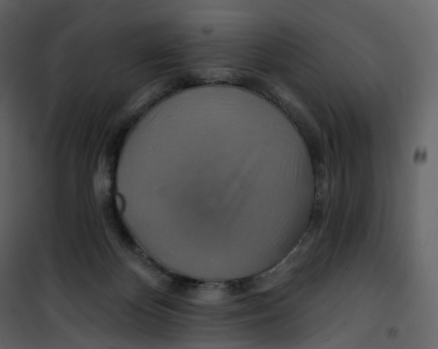 X0000100750124200807171421