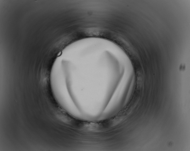 X0000100750125200807171421