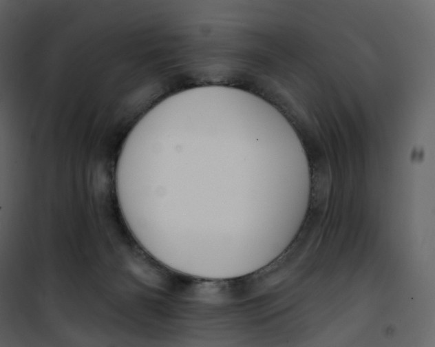 X0000100750126200807171421