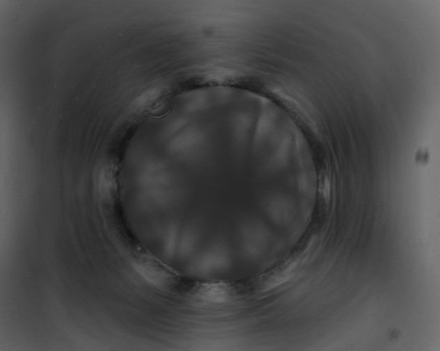 X0000100750127200807171421