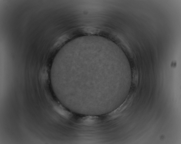 X0000100750128200807171421