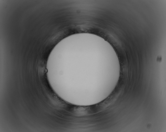 X0000100750129200807171421