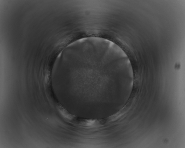 X0000100750130200807171421