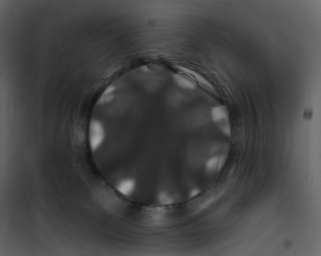 X0000100750131200807171421