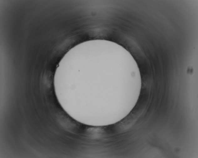 X0000100750133200807171421