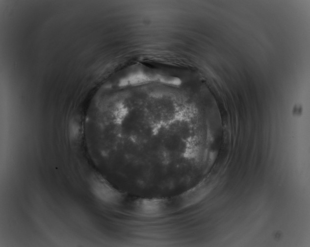 X0000100750134200807171421