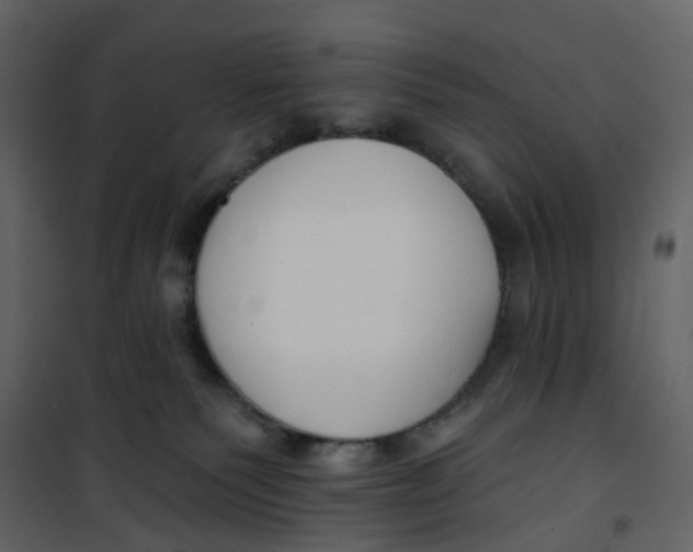 X0000100750135200807171421