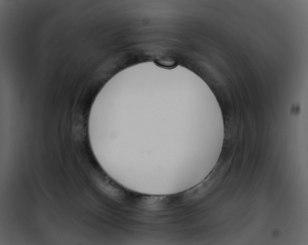 X0000100750136200807171421