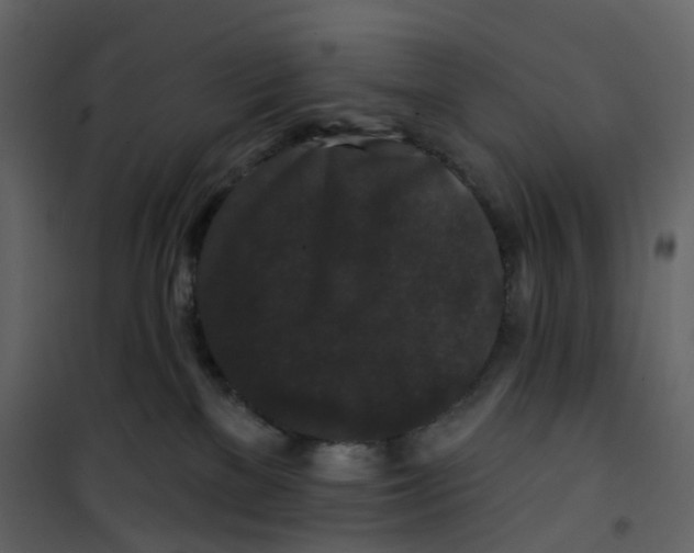 X0000100750137200807171421