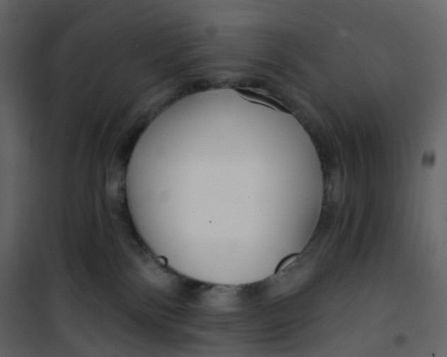 X0000100750138200807171421