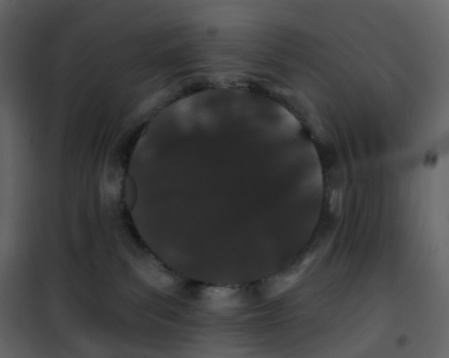 X0000100750139200807171421