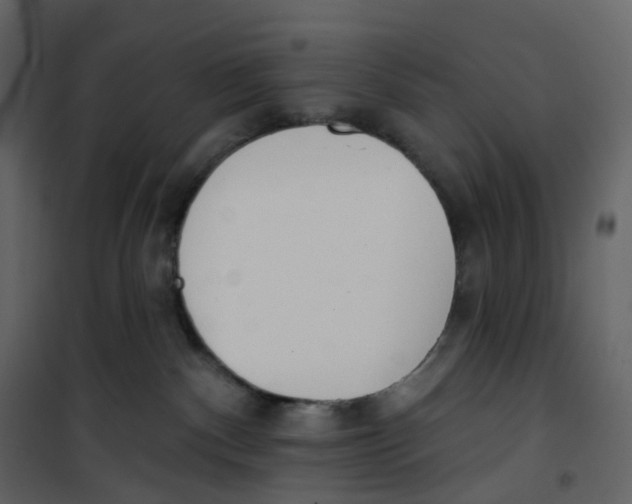 X0000100750140200807171421