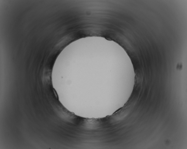 X0000100750141200807171421