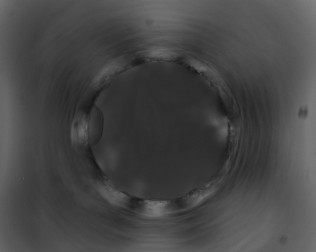 X0000100750143200807171421