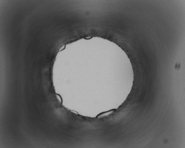 X0000100750144200807171421