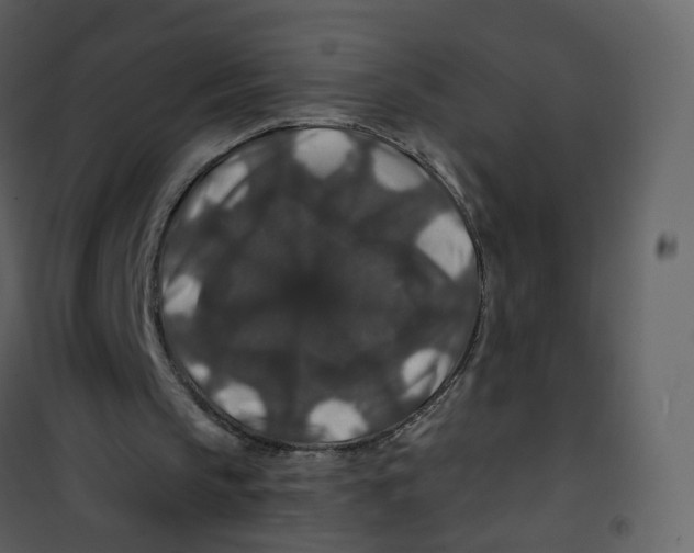 X0000100750145200807171420
