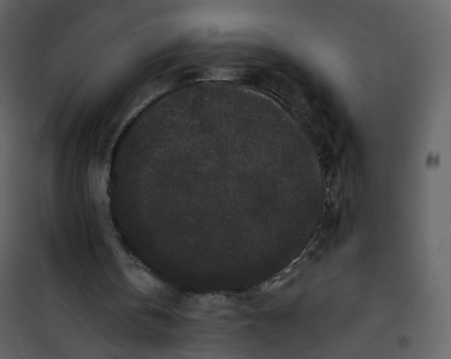 X0000100750146200807171420