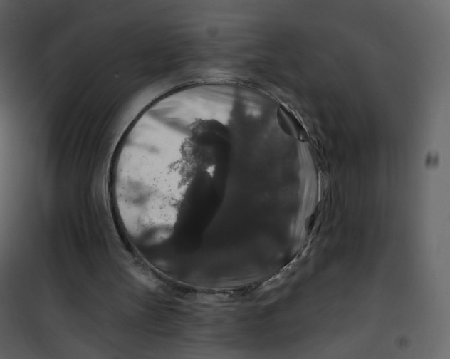 X0000100750147200807171420