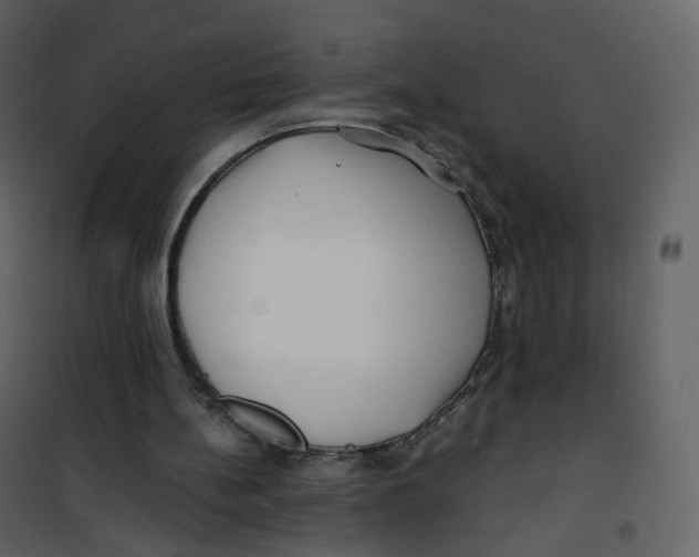 X0000100750148200807171420