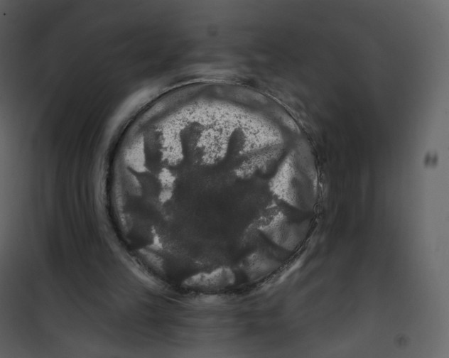 X0000100750149200807171420
