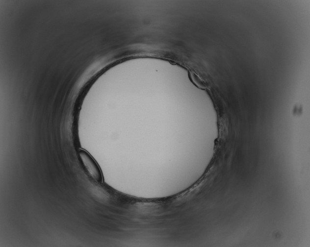 X0000100750150200807171420